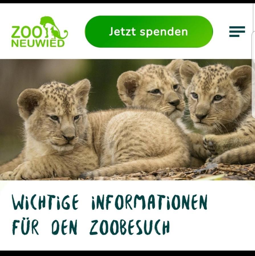 Fewo Mit Terasse Neuwied & Koblenz ภายนอก รูปภาพ